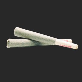 ASCEND-ORANGECOOKIES-PREROLL-FROM-THEPOUNDTOWN.CC