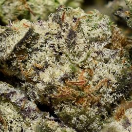 Mac1 Smalls AAAA By (Aurora Cannabis)