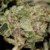 Black Berry Smalls AAAA By (Aphria)