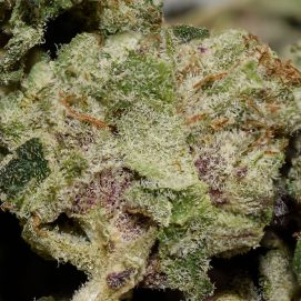 Black Berry Smalls AAAA By (Aphria)