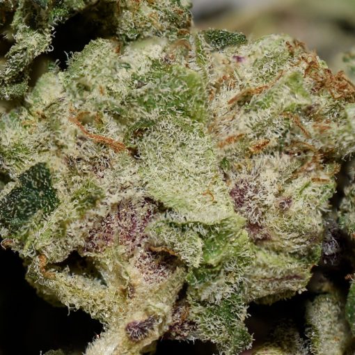 Black Berry Smalls AAAA By (Aphria)