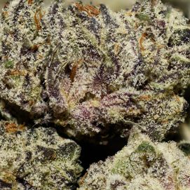 Donkey Butter Smalls AAAA By (Broken Coast Cannabis)
