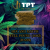 Mix & Match Full Pound - 16OZ / 448G (Hash)