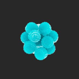 Tutti Fruitti Gummies 500MG CBD/THC 1:1 By (One Stop)