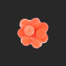 Watermelon Gummies 500MG CBD/THC 1:1 By (One Stop)