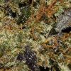 Astro Pink AAAA By (Next Level) Trichomes