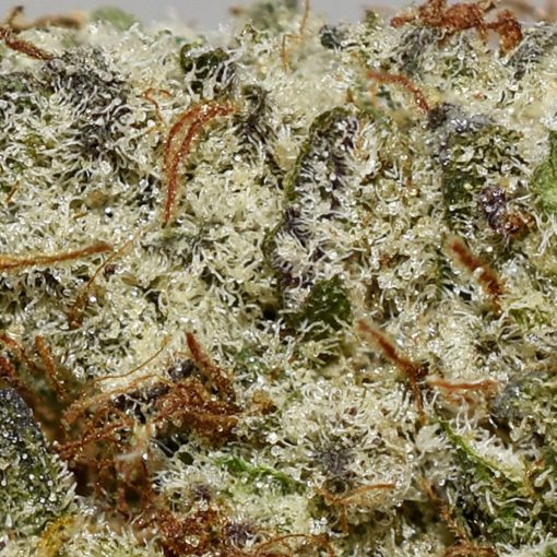 Blackberry AAA By (Sweetgrass Cannabis) - Image 2