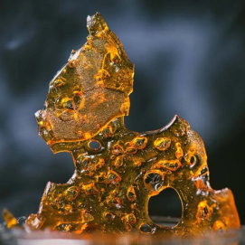 Concentrates