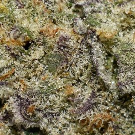 Cadillac Rainbowz AAAA By (Next Level) Trichomes