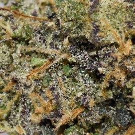 Designer Marker AAAA By (Next Level) Trichomes