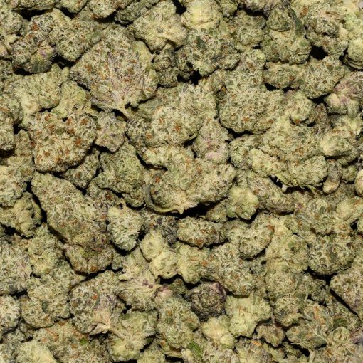 Donkey Butter Smalls AAAA By (Broken Coast Cannabis) Bag
