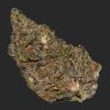 Gas Monkey AAA By (Broken Coast Cannabis)