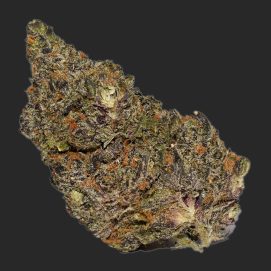 Gas Monkey AAA By (Broken Coast Cannabis)