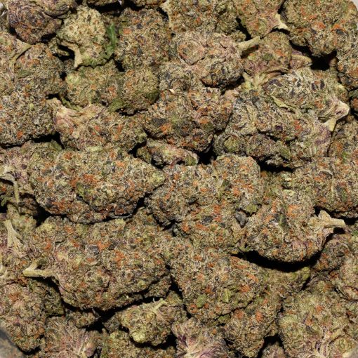 Gas Monkey AAA By (Broken Coast Cannabis) - Image 3