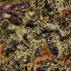 Alternative view of Gas Monkey AAA By (Broken Coast Cannabis)