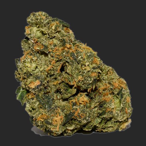 Girl Scout Cookies AA By (Smoker Farms)