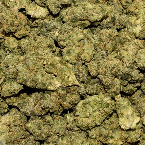 Girl Scout Cookies AA By (Smoker Farms) - Image 3