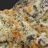 Gorilla Glue #4 AAAA By (Top Shelf BC) Trichomes