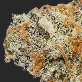 Gorilla Glue #4 Smalls AAAA By (Top Shelf BC) Trichomes