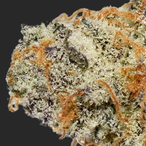 Gorilla Glue #4 Smalls AAAA By (Top Shelf BC) Trichomes