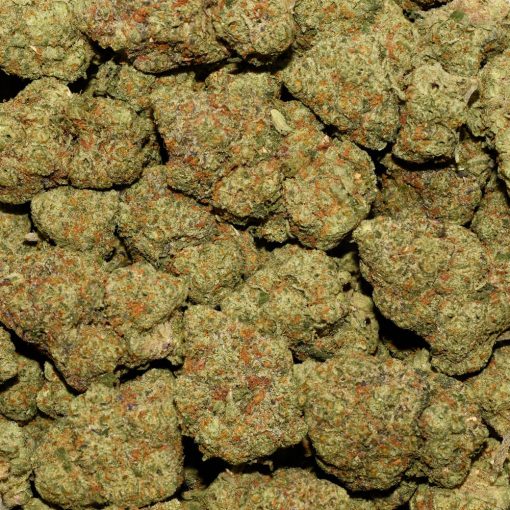 Gorilla Glue AA By (Woody Nelson) - Image 3
