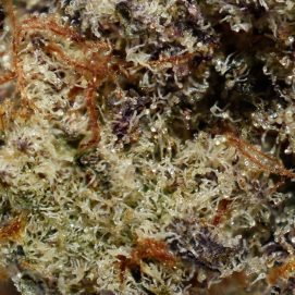 Alternative view of Grape Ape AAAA By (Bonzai Boyz)