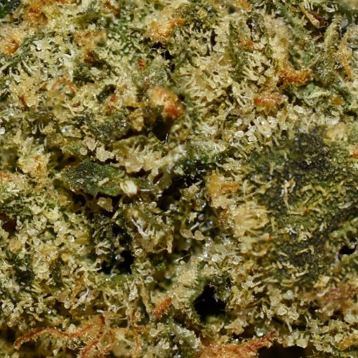 Green Crack Smalls AA By (Weathered Islands) - Image 2