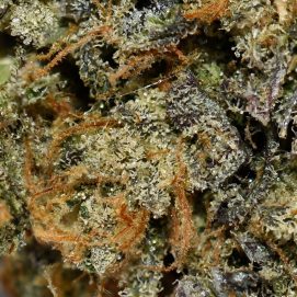 Katsu Bubba AAAA By (Next Level) Trichomes