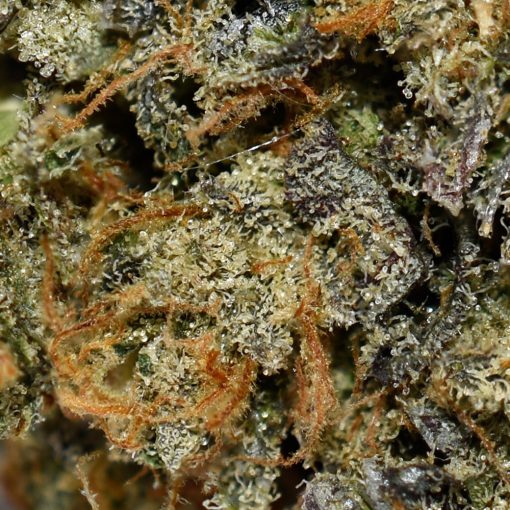 Katsu Bubba AAAA By (Next Level) Trichomes