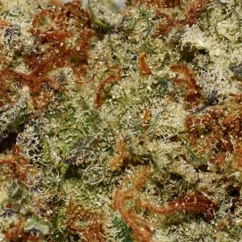 Alternative view of Mac Doughnut AA By (Woody Nelson)