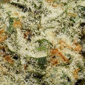 Alternative view of Mac Rillaz Smalls AAAA By (Beautiful BC Flowers)