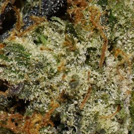 Mk Ultra AAAA By (Next Level) Trichomes