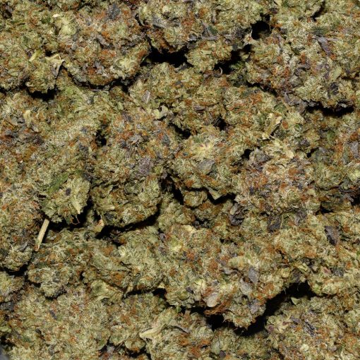 Mk Ultra AAAA By (Next Level) Bag