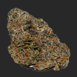 Monkey Bread #1 AAAA By (Certified Portland)