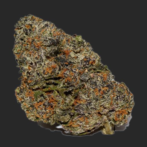 Monkey Bread #1 AAAA By (Certified Portland)