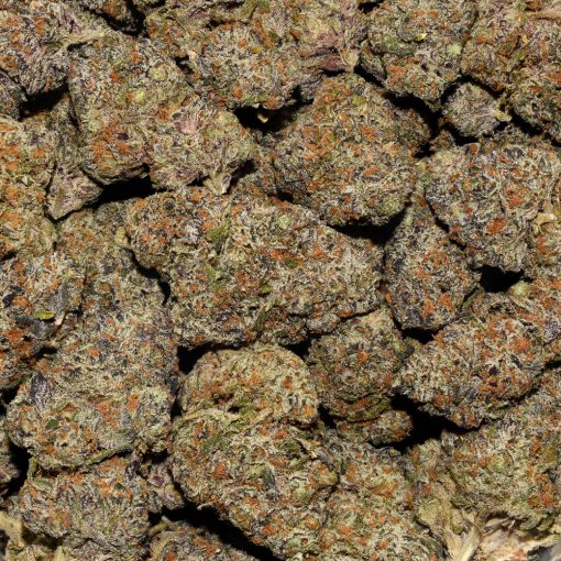 Monkey Bread #1 AAAA By (Certified Portland) Bag