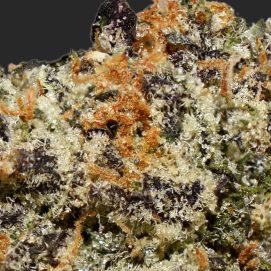 Monkey Bread #1 AAAA By (Certified Portland) Trichomes