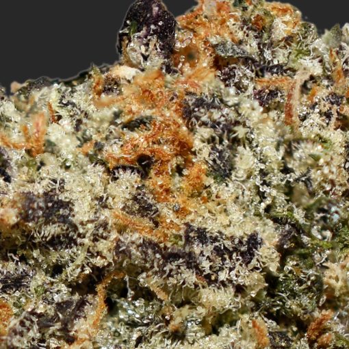 Monkey Bread #1 AAAA By (Certified Portland) Trichomes