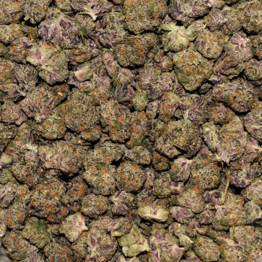 Monkey Bread #1 Smalls AAAA By (Certified Portland) Bag