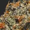 Monkey Bread #1 Smalls AAAA By (Certified Portland) Trichomes