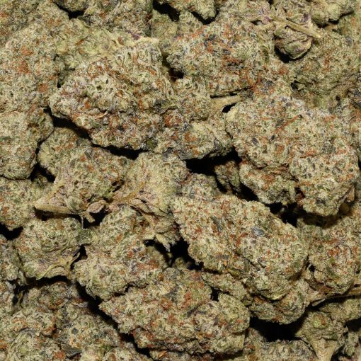 Pineapple Godbud AAAA By (Bonzai Boyz) Bag