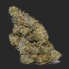 Platinum Oreoz AAAA By (Next Level)