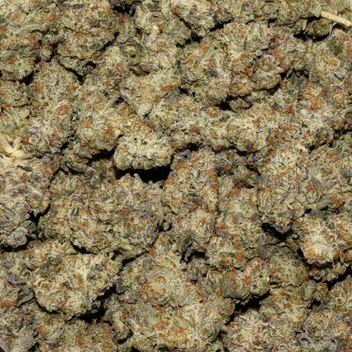 Platinum Oreoz AAAA By (Next Level) Bag