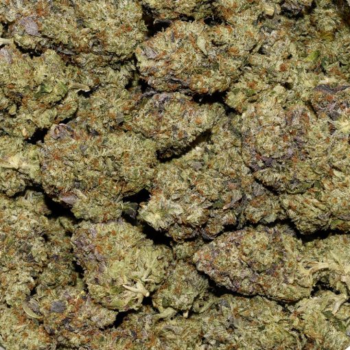 Purple Octane AAAA By (Next Level) Bag