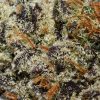 Rainbow Punch AAAA By (Aurora Cannabis) Trichomes