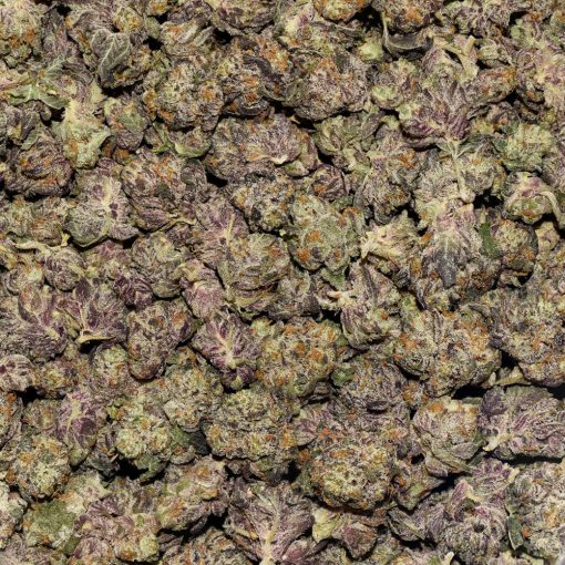 Rainbow Punch Smalls AAAA By (Aurora Cannabis) Bag