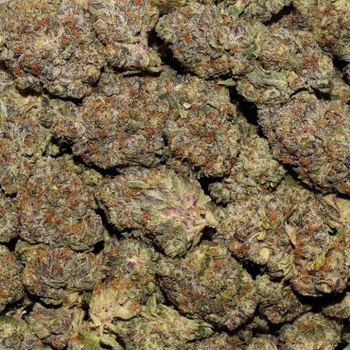Rockstar Platinum AAA By (Sweetgrass Cannabis) - Image 3