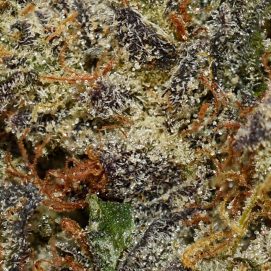 Alternative view of Rockstar Platinum AAA By (Sweetgrass Cannabis)