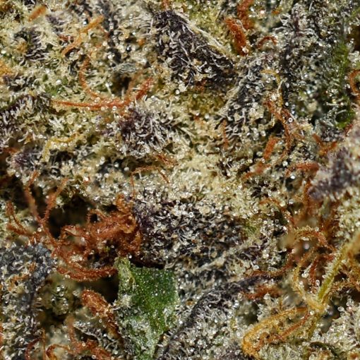 Rockstar Platinum AAA By (Sweetgrass Cannabis) - Image 2