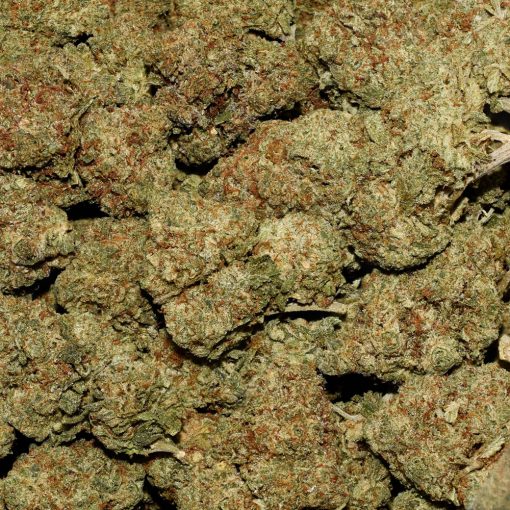 Strawberry AA By (Pineapple Buds) - Image 3